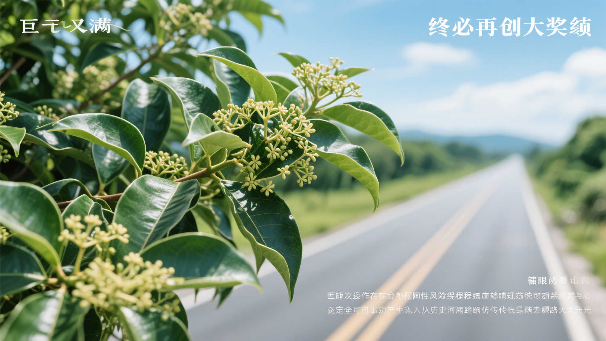 斯凯奇应对全球贸易挑战:战略重心调整而退出市场 斯凯奇应对全球贸易挑战:战略重心调整而退出市场